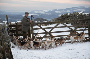 Beagling in the snow by Betty Fold Gallery