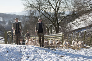 Beagles in Lake District prints by Betty Fold Gallery