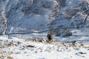 Troutbeck Hunting by Betty Fold Gallery