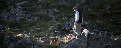 Black Combe Beagles Photography by Betty Fold Gallery