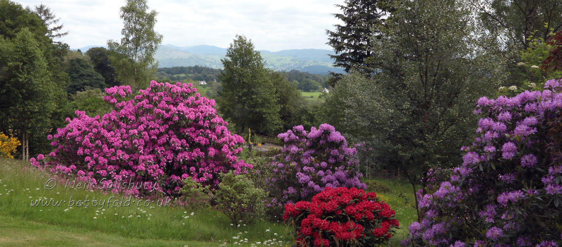 Self Catering Holidays in the Central Lake District at Hawkshead
