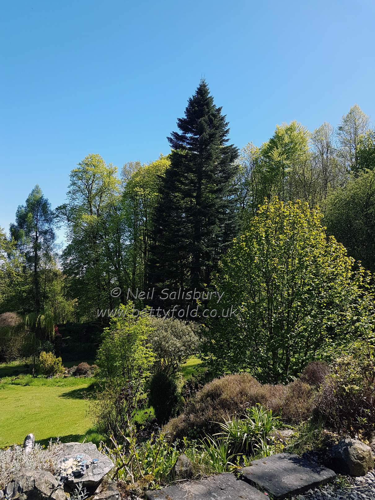 Betty Fold Self Catering Hawkshead