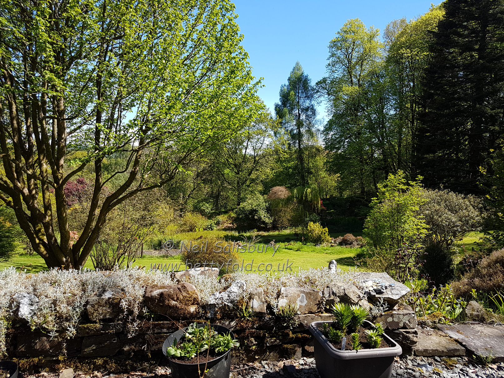 The Garden at Betty Fold