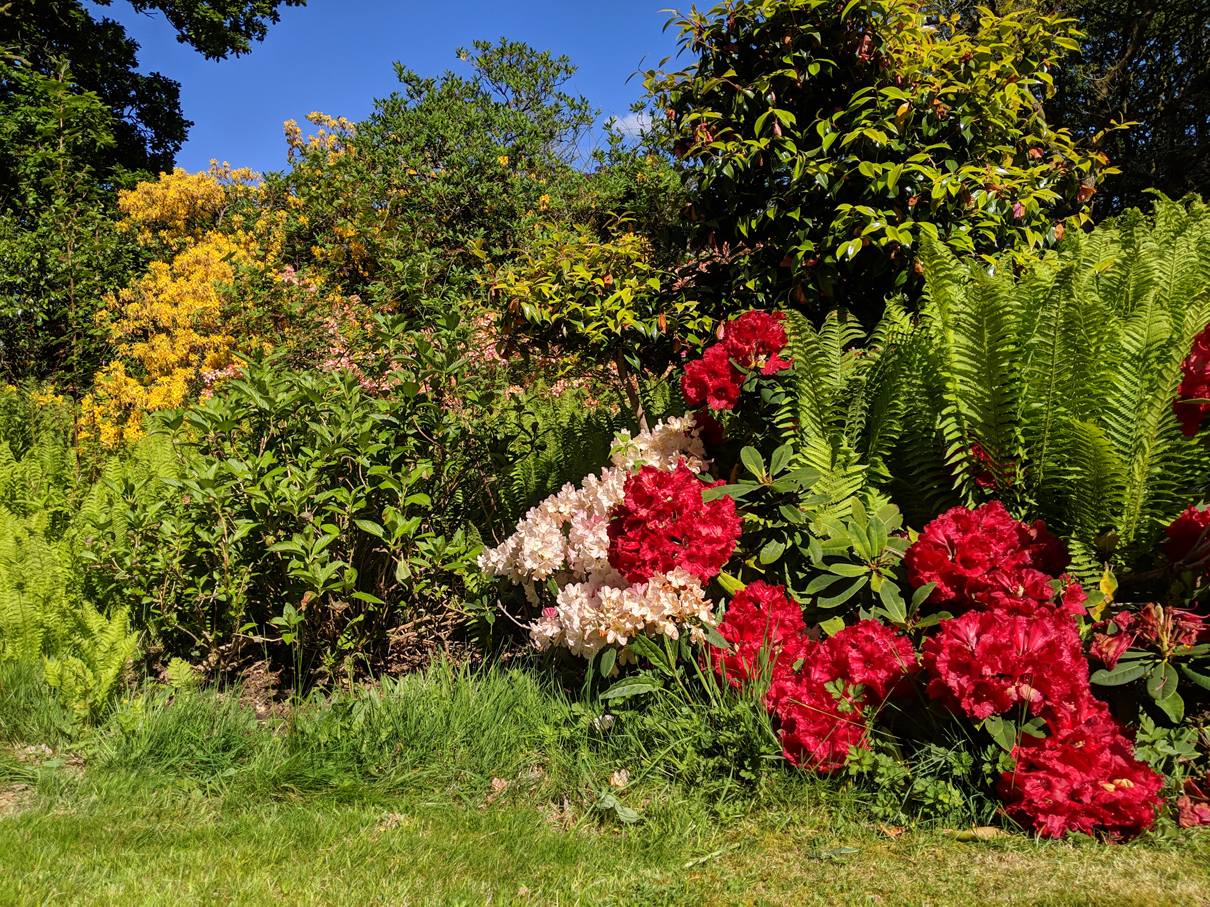 Self Catering Holidays at Betty Fold near Hawkshead