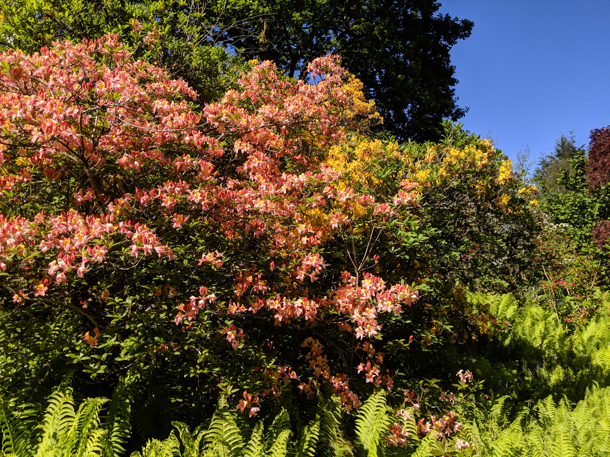 Self Catering holidays at Betty Fold Near Hawkshead Lake District