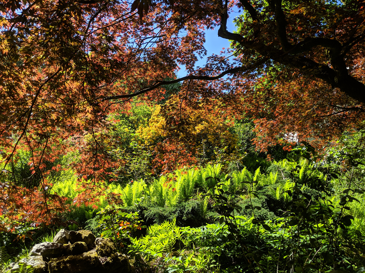 Beautiful gardens at Betty Fold Self Catering Apartment Hawkshead Lake District