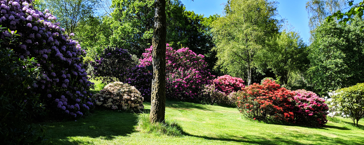 Betty Fold Garden Self Catering Apartment Hawkshead