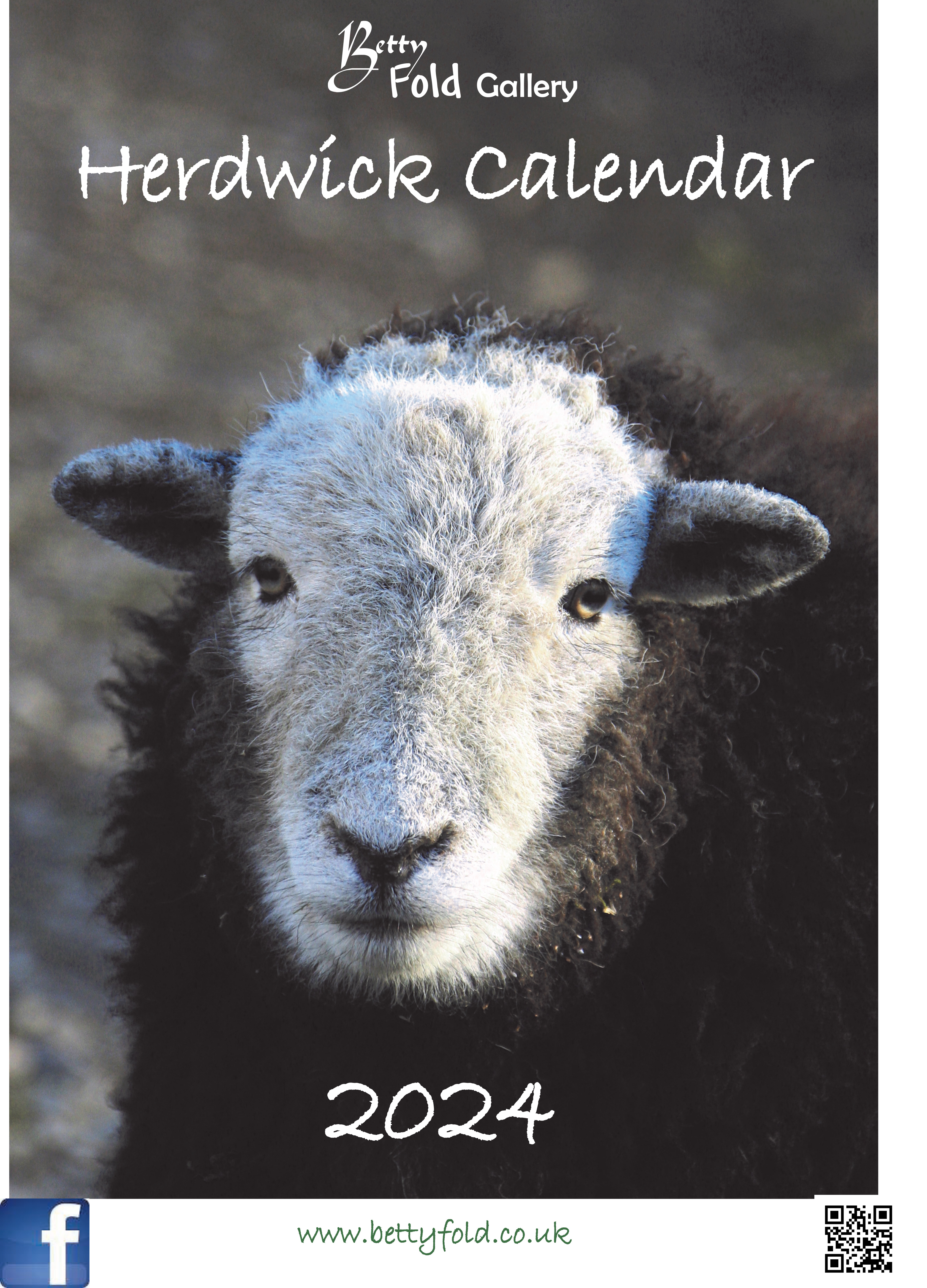 Herdwick sheep calendars by Betty Fold Gallery