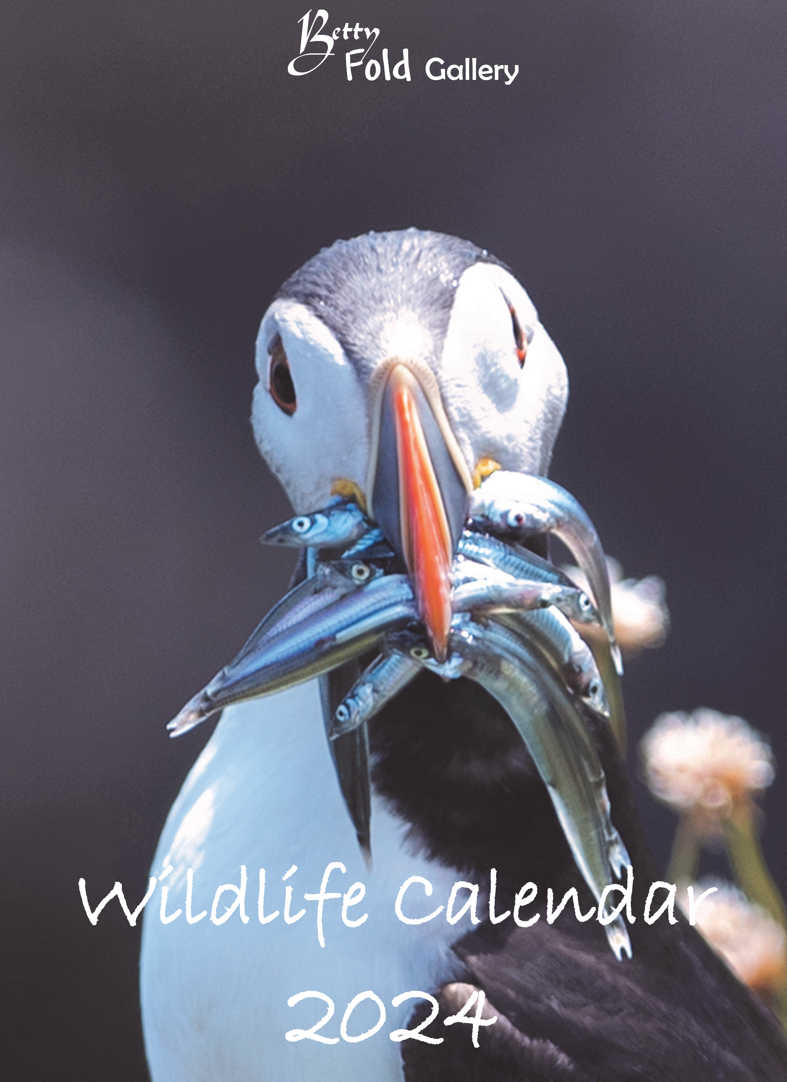 Betty Fold Gallery Wildlife Calendars