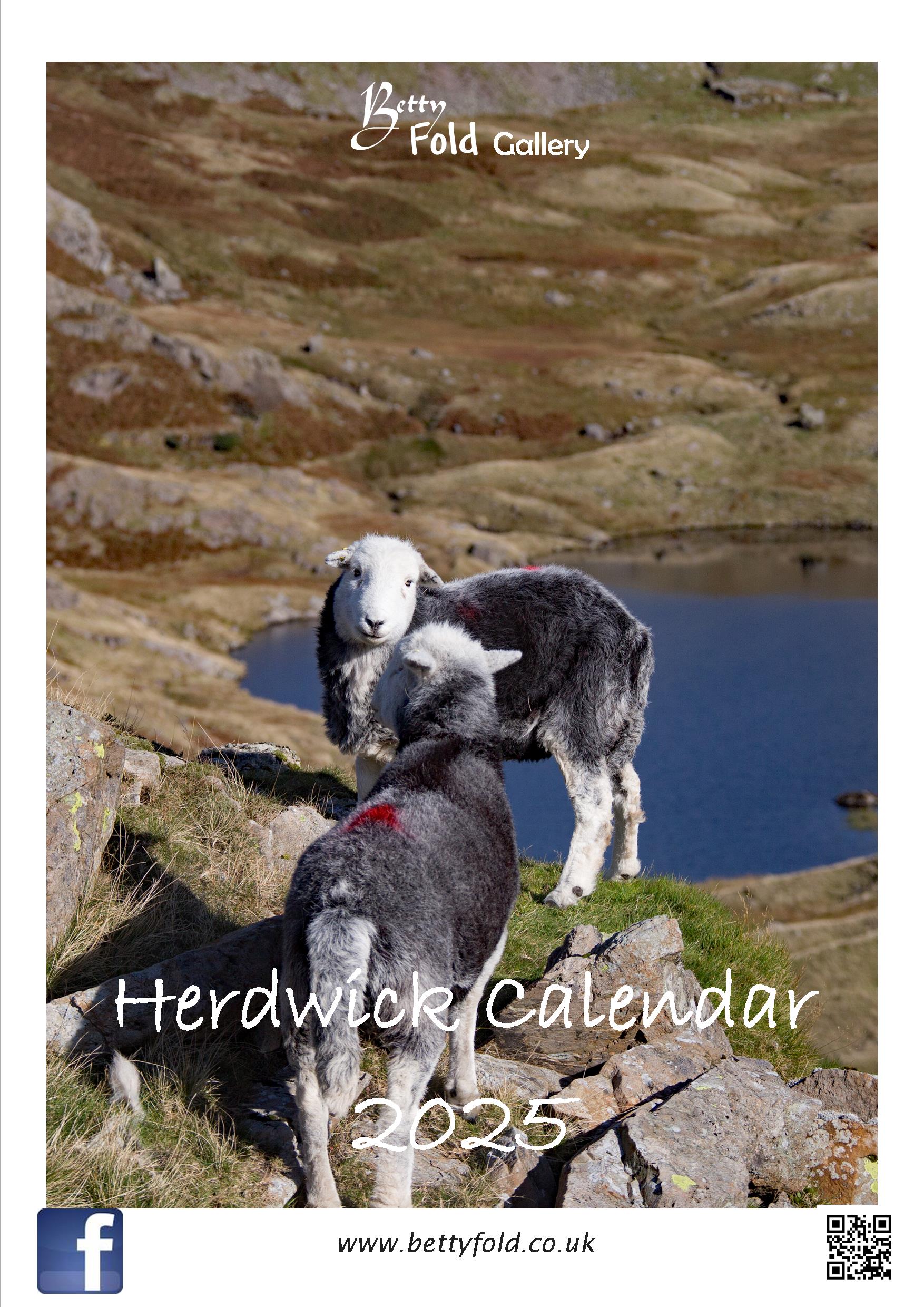 Herdwick Calendar for 2025 by Betty Fold Gallery