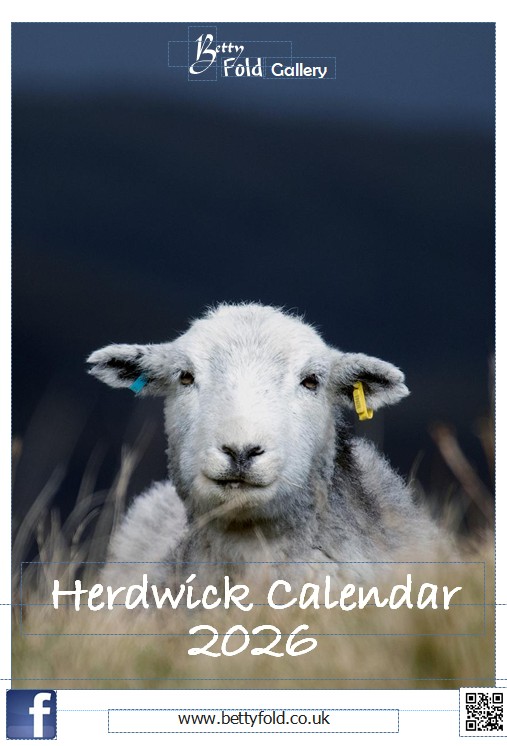 Herdwick Calendars by Betty Fold Gallery