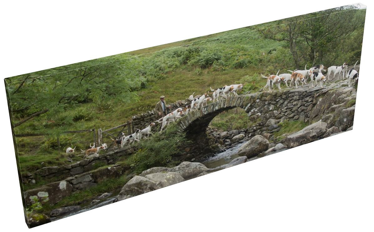 Coniston Foxhounds on Sweden Bridge