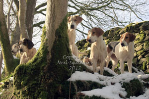 Foxhunting Photography by Neil Salisbury Hawkshead