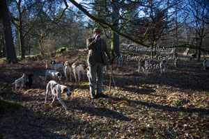 Cumbrian Hunting Scenes by Betty Fold Gallery