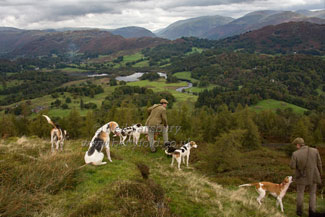 Hounds above Elterwater by Betty Fold Gallery