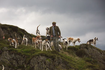 Foxhounds in Lakeland by Betty Fold Gallery