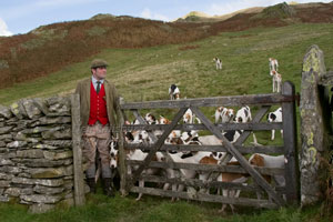 Coniston Hounds by Betty Fold Gallery