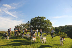 Lakeland Hunting images by Betty Fold Gallery