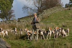Teme Valley Foxhounds by Betty Fold Gallery
