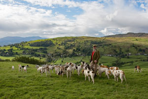 Coniston Foxhounds Photography by Betty Fold Gallery