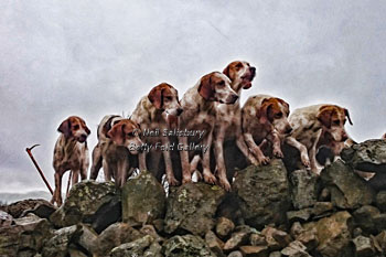 Fox Hunting with the Fell Packs by Betty Fold Gallery
