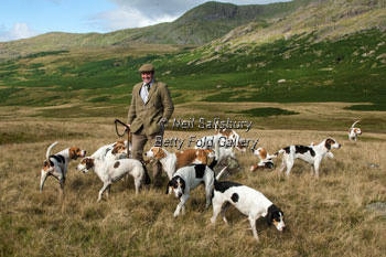 Foxhunting on the Coniston Fells by Betty Fold Gallery