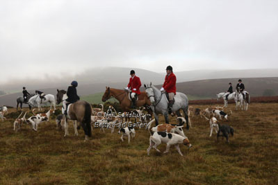 Foxhunting by Betty Fold Gallery