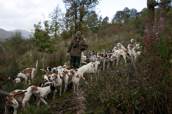 Hounds on the Fells by Betty Fold Gallery