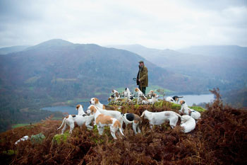 Rydal Fells Foxhunting by Betty Fold Gallery