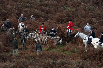 Foxhunting with the Teme Valley by Betty Fold Gallery