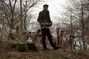 Cumbrian Fell Hounds by Betty Fold Gallery