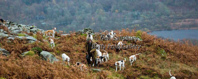 Lakeland Hunting Photography by Betty Fold Gallery