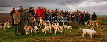 Teme Valley Foxhounds by Betty Fold Gallery