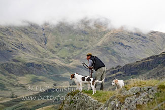 Lake District Fell Packs by Betty Fold Gallery