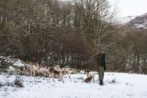 Fell Packs in the snow by Betty Fold Gallery