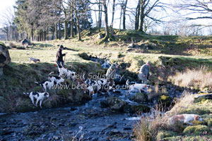 Hunting in Lakeland by Betty Fold Gallery