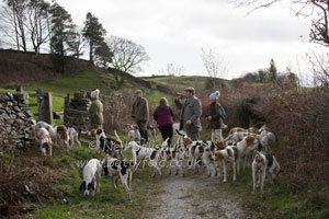 Fellhounds by Betty Fold Gallery