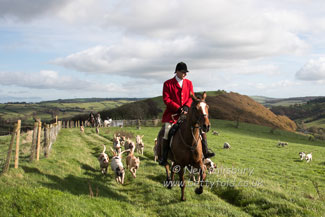 Teme Valley Foxhounds by Betty Fold Gallery