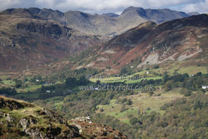 Hunting in the Lakes by Betty Fold Gallery