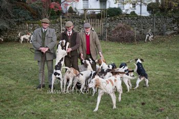 Lake District Hounds by Neil Salisbury Betty Fold Gallery