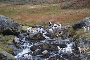 Lake District Photography by Betty Fold Gallery