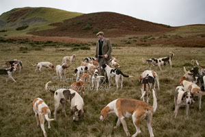 Hunting in Wales by Betty Fold Gallery