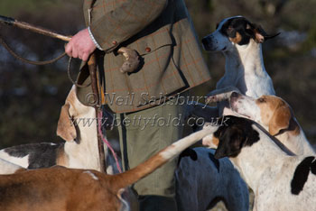 Lake District hunting by Betty Fold Gallery