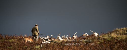 Hunting Photography by Neil Salisbury