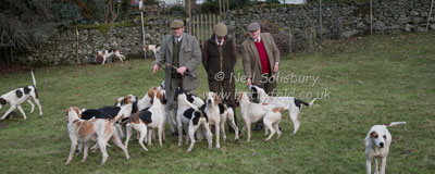 Foxhunting Photos by Betty Fold Gallery