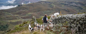 Lakeland Hunting by Betty Fold Gallery