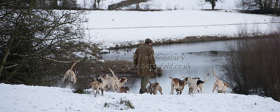 Foxhound Photography by Neil Salisbury