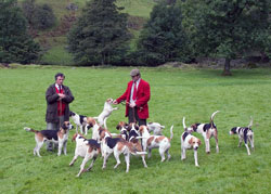 Cumberland Farmers Hunt Images of Lakeland