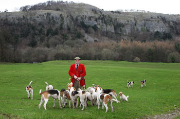 Hounds at Witherslack Lakeland Images Betty Fold Gallery