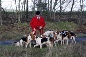 Foxhound photography by Neil Salisbury